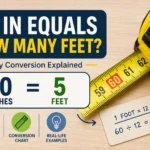 60 in equals how many feet