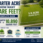 a quarter acre is how many square feet