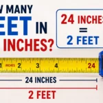 how many feet in 24 inches