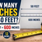 how many inches in 50 feet