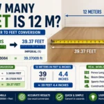 How Many Feet Is 12 M? Easy Meter to Feet Guide