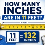 how many inches are in 11 feet