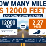how many miles is 12000 feet
