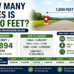how many miles is a 1000 feet