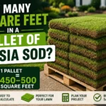 how many square feet in a pallet of zoysia sod