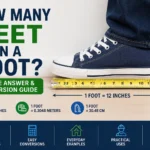 how many feet in a foot