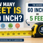 how many feet is 60 inch
