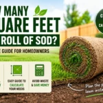 how many square feet in a roll of sod