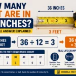 how many feet are in 36 inches
