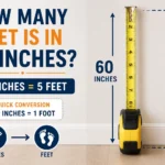 how many feet is in 60 inches